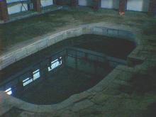 �c��̂����C