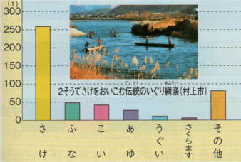 新潟県の川や沼でとれる魚.png