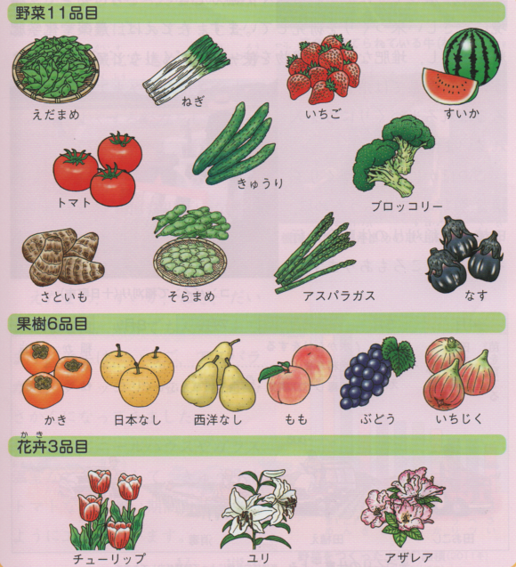 野菜11品目.png