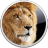 lion.png