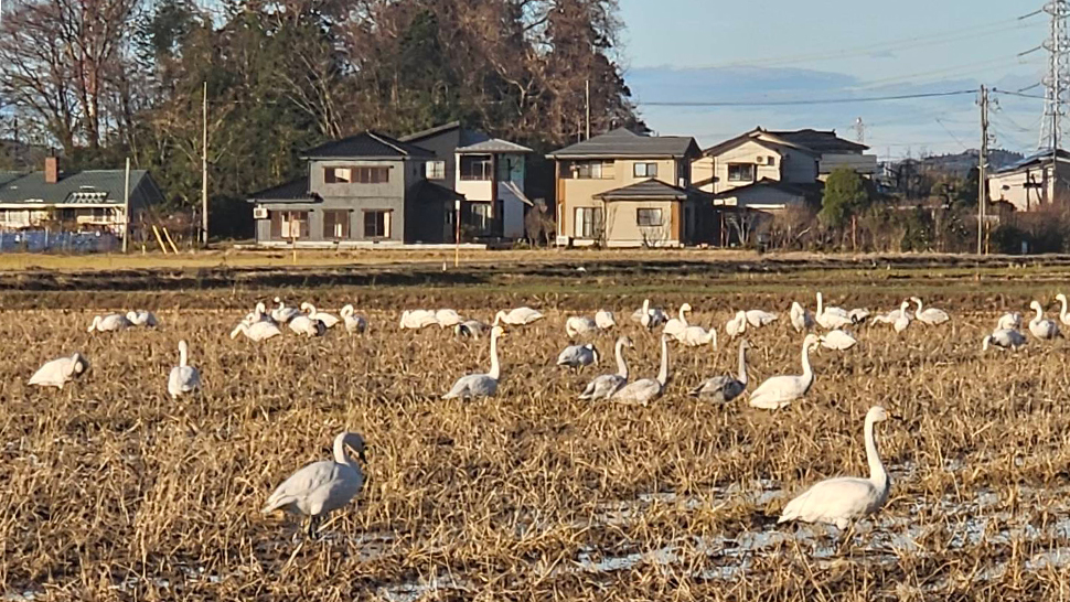お食事中! お食事中!