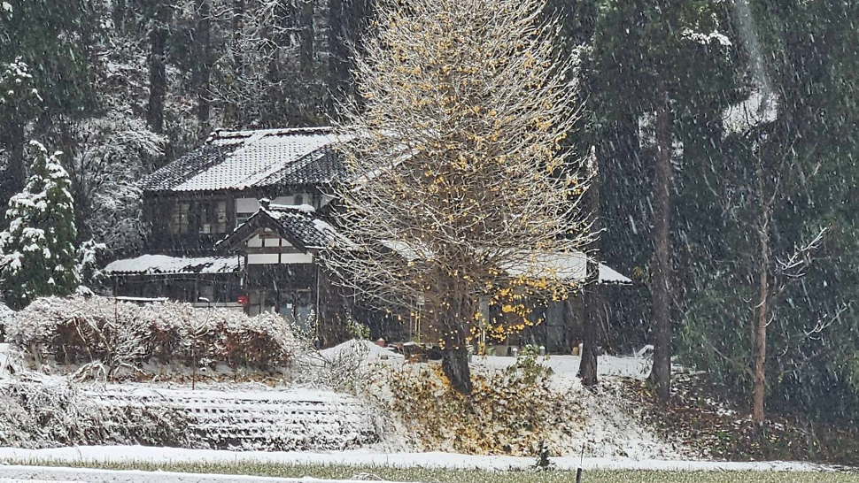 今年も葉が落ちて里に雪が降りました! 今年も葉が落ちて里に雪が降りました!