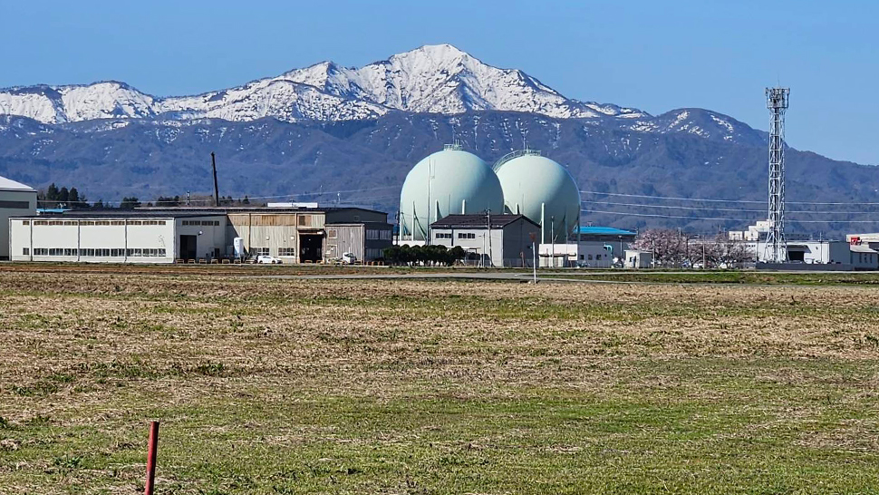 まもなくスジ蒔き爺さん現る